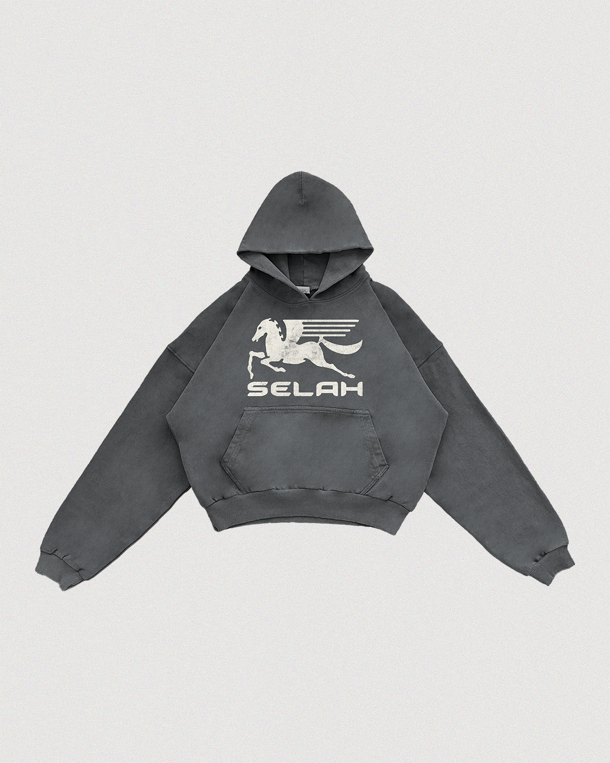 "PEGASUS" SUN-FADED HOODIE