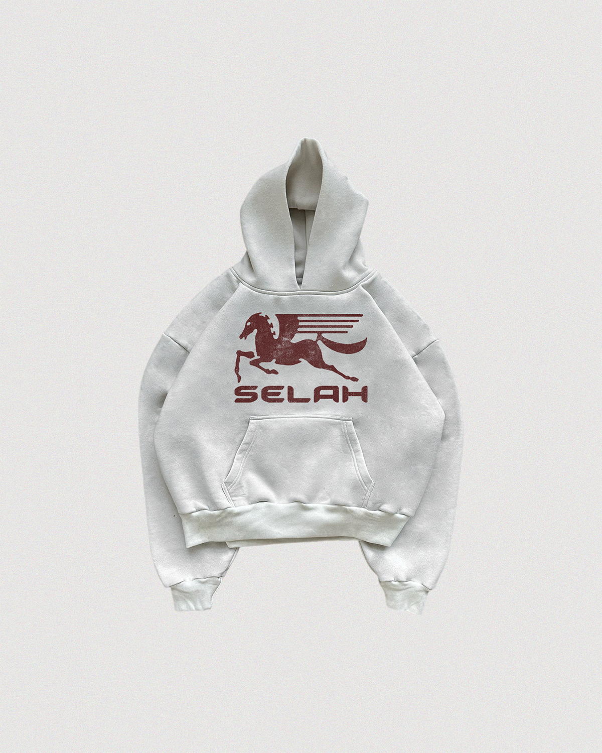 "PEGASUS" SUN-FADED HOODIE